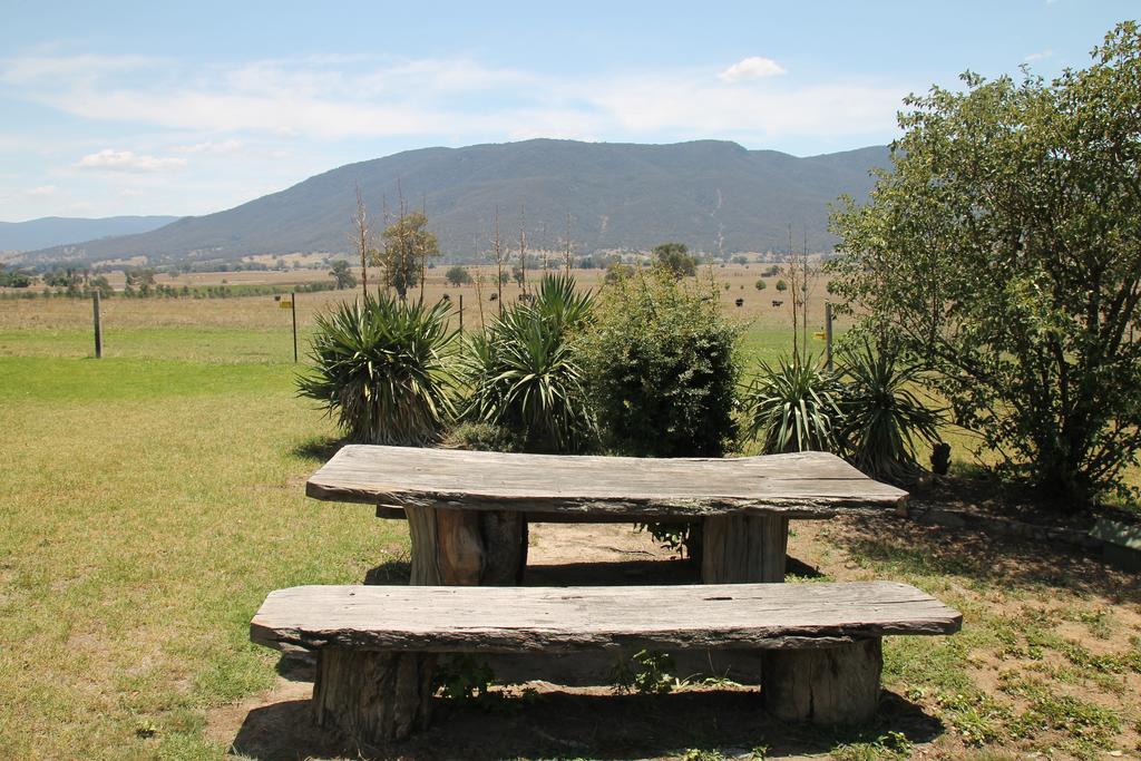 Mountain View Motel Corryong エクステリア 写真